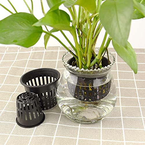 Duokon 10 stücke Schwere Mesh Topf Net Cup Heavy Duty Hydroponischen Pflanzen Mesh Pot Kunststoffkorb Gartenpflanze Wachsen Tasse Klon (schwarz) von Duokon