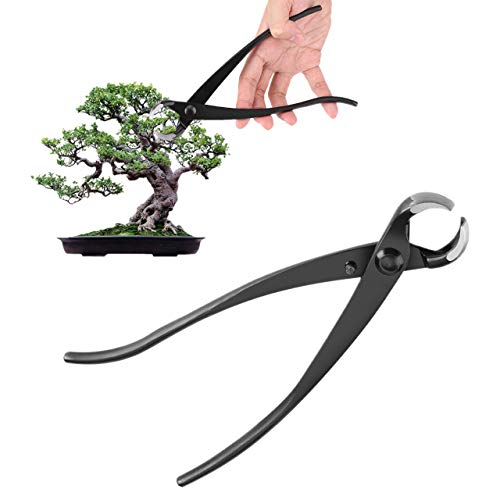 Fdit AST Knauf Cutter Zink Legierung AST Cutter mit Rund Garten-Bonsai Tools Baum Werkzeug Set 210 mm/20,3 cm EUR€2199EUR€21.99 Fdit AST Knauf Cutter Zink Legierung AST Cutter mit Rund Garten-Bonsai Tools Baum Werkzeug Set 210 mm/20,3 cm EUR€2199EUR€21.99 von Duokon