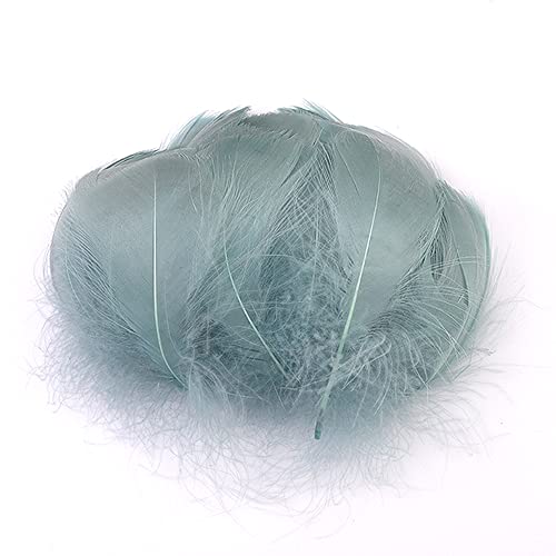 100 Stück Bunte Feder zum Basteln Naturfedern Gänsefedern Indianer Bastelfedern für DIY Kunstwerk Masken Hüte Ohrringe Haarschmucken Traumfänger Hochzeit Karneval Party Dekoration,5-8cm Grau Blau von Duories