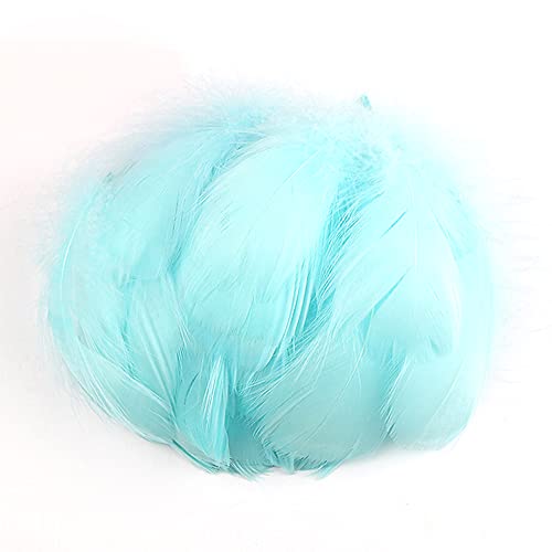 100 Stück Bunte Feder zum Basteln Naturfedern Gänsefedern Indianer Bastelfedern für DIY Kunstwerk Masken Hüte Ohrringe Haarschmucken Traumfänger Hochzeit Karneval Party Dekoration,7-12cm Baby blau von Duories