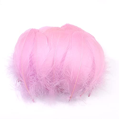 100 Stück Bunte Feder zum Basteln Naturfedern Gänsefedern Indianer Bastelfedern für DIY Kunstwerk Masken Hüte Ohrringe Haarschmucken Traumfänger Hochzeit Karneval Party Dekoration,7-12cm Pink Lila von Duories