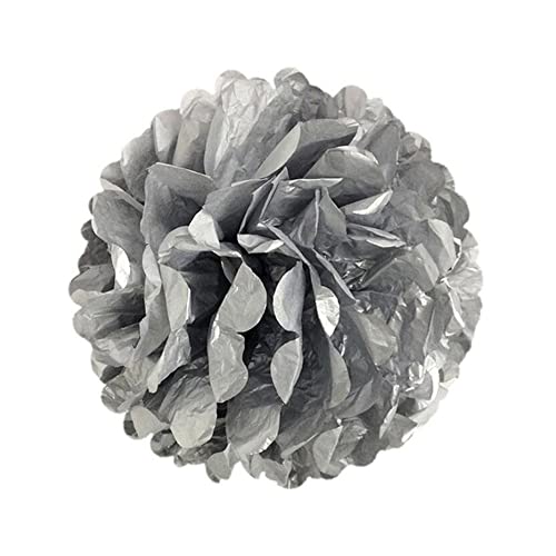 20 Stück Seidenpapier Pompons 25cm Hochzeitsdeko Basteln Pompoms Dekorpapier Blumenpuscheln Papier Pompons Papierblumen für Geburtstag Hochzeit Party Wohnzimmer Raumdeko,Silber von Duories