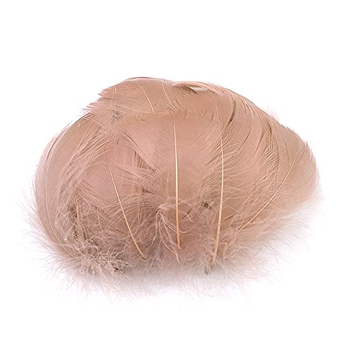 Duories 100 Stück Bunte Feder zum Basteln Naturfedern Gänsefedern Indianer Bastelfedern für DIY Kunstwerk Masken Hüte Ohrringe Haarschmucken Traumfänger Hochzeit Karneval Party Dekoration,5-8cm Khaki von Duories