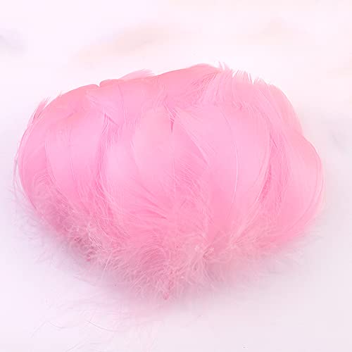 Duories 100 Stück Bunte Feder zum Basteln Naturfedern Gänsefedern Indianer Bastelfedern für DIY Kunstwerk Masken Hüte Ohrringe Haarschmucken Traumfänger Hochzeit Karneval Party Dekoration,5-8cm Rosa von Duories