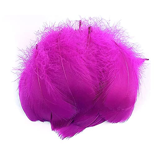 Duories 100 Stück Bunte Feder zum Basteln Naturfedern Gänsefedern Indianer Bastelfedern für DIY Kunstwerk Masken Hüte Ohrringe Haarschmucken Traumfänger Hochzeit Karneval Party Dekoration,5-8cm Rose von Duories