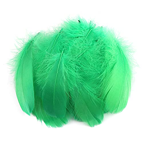 Duories 100 Stück Bunte Feder zum Basteln Naturfedern Gänsefedern Indianer Bastelfedern für DIY Kunstwerk Masken Hüte Ohrringe Haarschmucken Traumfänger Hochzeit Karneval Party Dekoration,7-12cm Grün von Duories