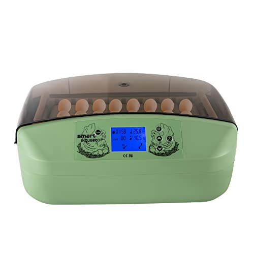 Brutautomat Vollautomatisch 32 Eier Brutmaschine 360° Automatische Eierdrehung mit LCD-Display Inkubator Hühner,Für Familien- und Berufsausbrütung von Hühnern, Enten Brutautomat Vollautomatisch 32 Eier Brutmaschine 360° Automatische Eierdrehung mit LCD-Display Inkubator Hühner,Für Familien- und Berufsausbrütung von Hühnern, Enten von Duoruameng
