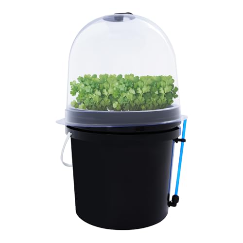Duoruameng 8 Löcher Hydroponic System Aeroponic Hydroponics Pflanzen Growing Kit Sämlingszucht Hydroponic Box mit Timing Controller von Duoruameng