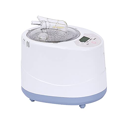 Saunadampfer, 1000W - 3 Liter Tragbarer Sauna Dampfgenerator für Zuhause mit Timer & LED-Display & Fernbedienung, 9 Gänge Temperatur Dampfbad von Duoruameng