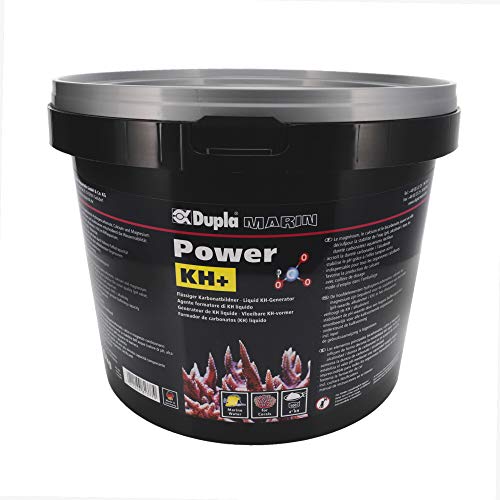 DUPLA Power KH+ I 10 kg I Erhöht die KH/Alkalinität I Inklusive Dosierlöffel DUPLA Power KH+ I 10 kg I Erhöht die KH/Alkalinität I Inklusive Dosierlöffel von Dupla