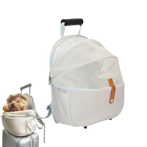 Duqulle Katzentransportbox | Kleintiertransport Rucksack,Weich Gepolsterte Faltbare Transporttasche Für Kätzchen Und Welpen Bei Outdoor Tierarztbesuchen Spaziergängen Kurztrips Duqulle Katzentransportbox | Kleintiertransport Rucksack,Weich Gepolsterte Faltbare Transporttasche Für Kätzchen Und Welpen Bei Outdoor Tierarztbesuchen Spaziergängen Kurztrips von Duqulle