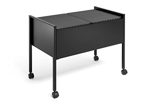 Durable Eco Hängemappenwagen 100 Duo, schwarz, 308201 von Durable