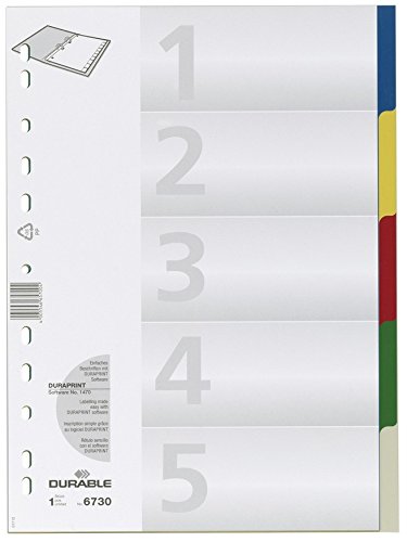 Durable Hunke & Jochheim Register, PP, blanko, farbige Taben, DIN A4, 210/220 x 297 mm, 5 Blatt (20, 1-5) von Durable