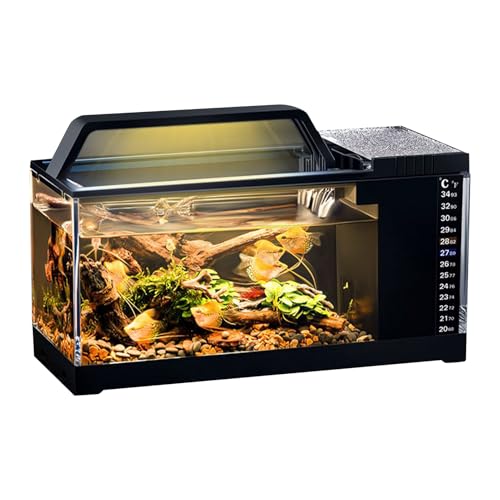 Duroecsain Aquarium-Set | Fischbecken mit integriertem Filter und Beleuchtung, intelligentes Temperatur-Set, geräuscharme Pumpe für kristallklares Wasser, Bürozubehör von Duroecsain