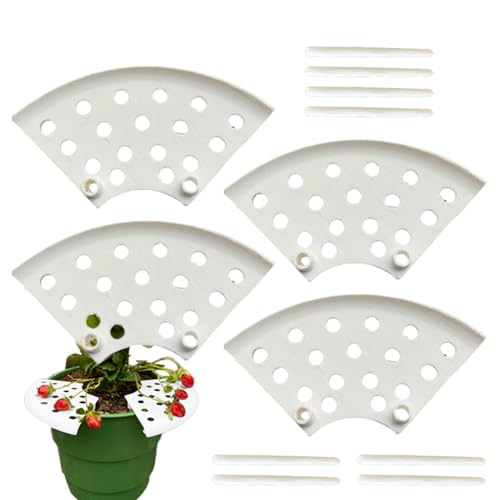 Duroecsain Erdbeer Pflanzenstütze - Obstpflanzen Gitter Tablett - 4-teiliges Rankgitter Schutzgitter Ständer Für Obstpflanzen Kübel Blumen Rasen Rosen Duroecsain Erdbeer Pflanzenstütze - Obstpflanzen Gitter Tablett - 4-teiliges Rankgitter Schutzgitter Ständer Für Obstpflanzen Kübel Blumen Rasen Rosen von Duroecsain