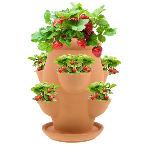 Duroecsain Erdbeerturm, Blumenturm für den Garten, Erdbeeren, Terrakotta-Behälter mit Tablett, Gartenzubehör, Blumentopf für Gemüse und Orchideen, für drinnen und draußen, für Terrasse und Balkon Duroecsain Erdbeerturm, Blumenturm für den Garten, Erdbeeren, Terrakotta-Behälter mit Tablett, Gartenzubehör, Blumentopf für Gemüse und Orchideen, für drinnen und draußen, für Terrasse und Balkon von Duroecsain