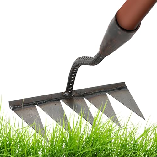 Duroecsain Jät-Rechenwerkzeug, Eisenharke | Tragbares Nachfüllen von Ausgießern | Gartenhacke, robuste Gartenhacke, manuelle Unkraut, Hofblätter Kralle, Artefakt Entwurzelung Duroecsain Jät-Rechenwerkzeug, Eisenharke | Tragbares Nachfüllen von Ausgießern | Gartenhacke, robuste Gartenhacke, manuelle Unkraut, Hofblätter Kralle, Artefakt Entwurzelung von Duroecsain