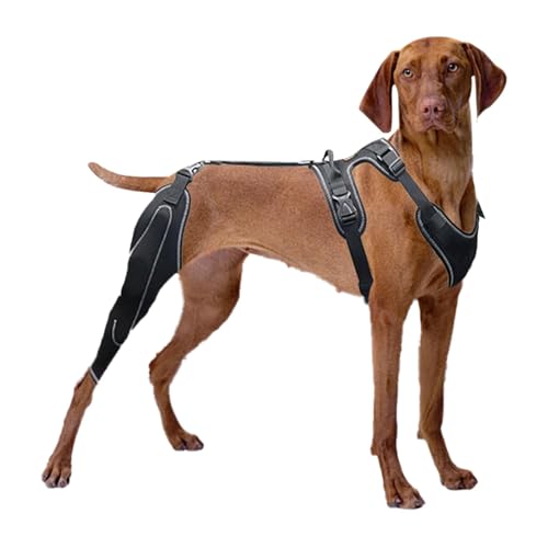 Duroecsain Kniebandage für Hinterbein, Beinschiene für Hunde, verstellbare Hüftschiene für Hunde, Rückenbeinwicklung, für Hunde, Schiene von Duroecsain