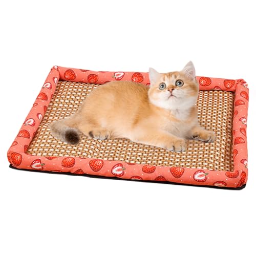 Duroecsain Kühlmatte für Hunde, kühlende Matratze für Katzen, quadratisch, hitzebeständig, 50 x 40 cm, waschbar, für Reisen, Camping, Auto, warmes Wetter Duroecsain Kühlmatte für Hunde, kühlende Matratze für Katzen, quadratisch, hitzebeständig, 50 x 40 cm, waschbar, für Reisen, Camping, Auto, warmes Wetter von Duroecsain