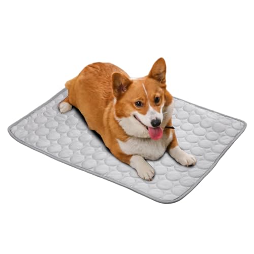 Duroecsain Kühlmatte für Hunde – waschbare Matte für den Außenbereich | frische Decke für Katzen, leichtes und atmungsaktives Zubehör für Reisen Duroecsain Kühlmatte für Hunde – waschbare Matte für den Außenbereich | frische Decke für Katzen, leichtes und atmungsaktives Zubehör für Reisen von Duroecsain
