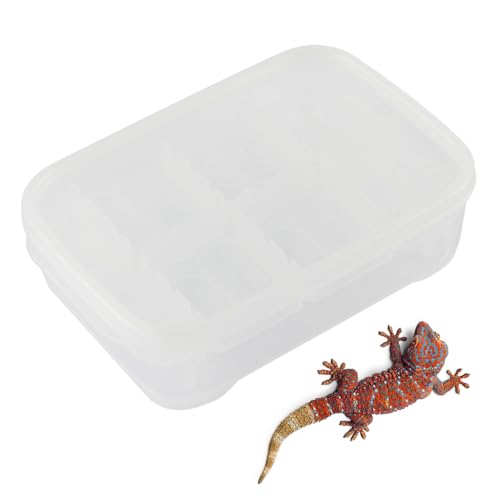 Duroecsain Reptilien-Eier-Inkubator | 14-Fach Gecko Brutbox | Transparente Aufzuchtbox Terrarium Für Spinnen, Skorpione & Klettertiere Innen- Und Außenbereich Terrarien-Zubehör von Duroecsain