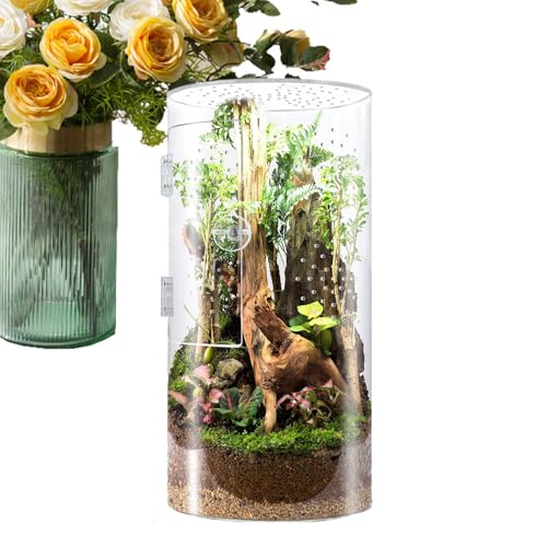 Duroecsain Spinnen-Habitat, Springendes Spinnen-Terrarium – Acryl, betend, Terrarium, Reservoir für Baumreptilien, wasserdicht, mit Tür zum Öffnen der Spinne von Duroecsain