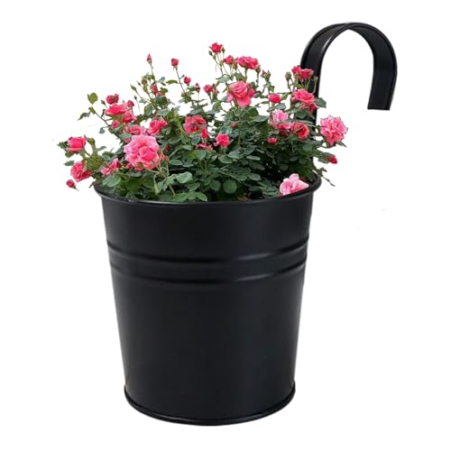 Geländer-Pflanzer, hängende Blumentöpfe, wiederverwendbarer Blumenkasten mit abnehmbaren Haken, robuster Gartenbedarf, Erdbeerhalter für Zuhause, Studio Geländer-Pflanzer, hängende Blumentöpfe, wiederverwendbarer Blumenkasten mit abnehmbaren Haken, robuster Gartenbedarf, Erdbeerhalter für Zuhause, Studio von Duroecsain