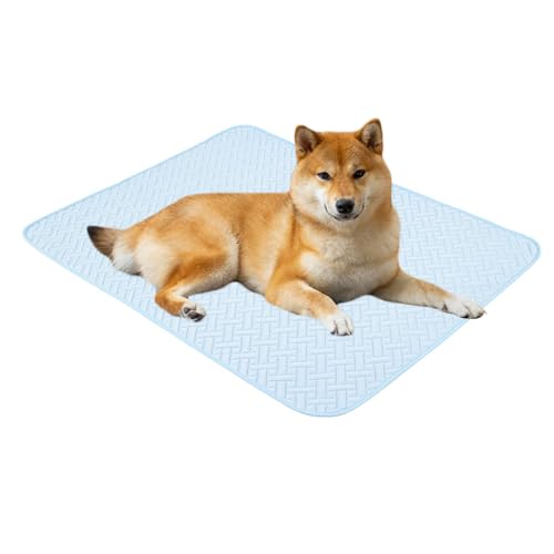 Kühlmatte für Hunde, frische Matratze für Hundekörbe und Schlafdecke, atmungsaktiv, bequem, für Tiere im Sommer – Verwendung im Auto, Park oder Strand Kühlmatte für Hunde, frische Matratze für Hundekörbe und Schlafdecke, atmungsaktiv, bequem, für Tiere im Sommer – Verwendung im Auto, Park oder Strand von Duroecsain