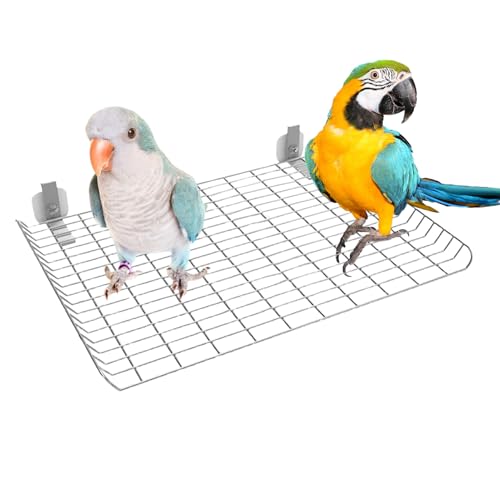 Sitzstangen für Papageien | Sitzstange aus Edelstahl für Vögel | Übung und Krabbelspielzeug für Wellensittiche Sittiche und Haustiere aller Größen Sitzstangen für Papageien | Sitzstange aus Edelstahl für Vögel | Übung und Krabbelspielzeug für Wellensittiche Sittiche und Haustiere aller Größen von Duroecsain