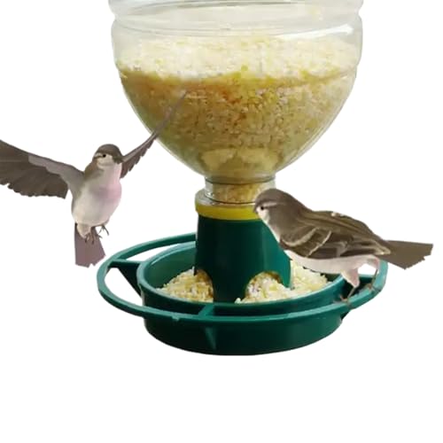 Wildvogel-Futterspender - Garten Papageienfutterautomat | Aufhängbarer Trink- Und Futterspender Für Papageien Mit Befestigung Für Terrasse, Balkon Und Garten Wildvogel-Futterspender - Garten Papageienfutterautomat | Aufhängbarer Trink- Und Futterspender Für Papageien Mit Befestigung Für Terrasse, Balkon Und Garten von Duroecsain