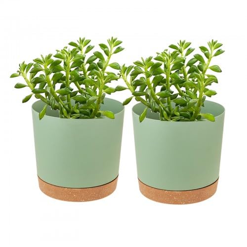 Duronge 2 Stück Kunststoff Blumentopf, 11 cm Bumentöpfe mit Mehrere Ablauflöchern und Untersetzer, Bumentöpfe für Zimmerpflanzen, Blumentopf für Innen (Grün) von Duronge