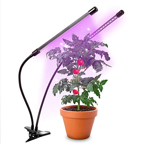 Duronic GLC24 Pflanzenlampe | Vollspektrum Wachstumslampe mit 36x rote & blaue LED-Lampen | 3 Farbmodi | Pflanzenleuchte mit Schwanenhals in 6 Lichtstärken | 40W Pflanzenlicht für Pflanzen und Kräuter von Duronic
