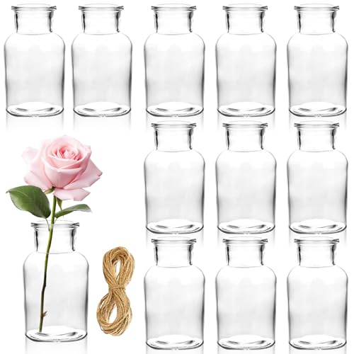 Duscdesp 12 Stück Kleine Glasvasen, Mini Vasen Set mit Juteschnur Vase Klein Minivasen Kleine Vasen für Tischdeko, Mini Glasflaschen Blumenvase Glasvase für Hochzeit Geburtstag Kommunion Deko von Duscdesp