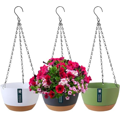 Duscdesp 3 Stück Blumenampel, Blumentopf Hängend für Innen Außen, Hängetopf für Pflanzen mit Drainagelöchern und Abnehmbarem Untersetzer, hängeampel Blumentöpfe zum Aufhängen für Haus Garten Balkon Duscdesp 3 Stück Blumenampel, Blumentopf Hängend für Innen Außen, Hängetopf für Pflanzen mit Drainagelöchern und Abnehmbarem Untersetzer, hängeampel Blumentöpfe zum Aufhängen für Haus Garten Balkon von Duscdesp
