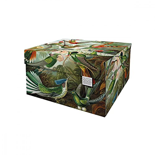 Dutch Design Brand Aufbewahrungsbox Medium mit Deckel – 2 Aufbewahrungsboxen – FSC-zertifizierter, recycelbarer Karton (Größe: 33,2 x 24,2 x 16,5 cm) (Art of Nature) von DDB
