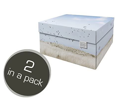 Dutch Design Brand Aufbewahrungsbox Medium mit Deckel – 2 Aufbewahrungsboxen – FSC-zertifizierter, recycelbarer Karton (Größe: 33,2 x 24,2 x 16,5 cm) (Texel Dunes) von Dutch Design Brand