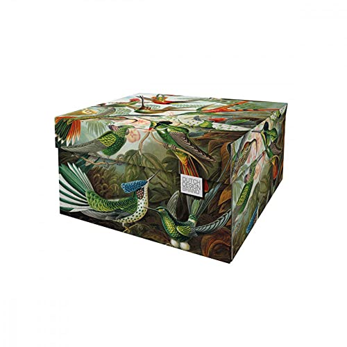 Dutch Design Brand Aufbewahrungsbox Small mit Deckel – 2 Aufbewahrungsboxen – FSC-zertifizierter, recycelbarer Karton (Größe: 27,8 x 20,6 x 14 cm) (Art of Nature) von Dutch Design Brand