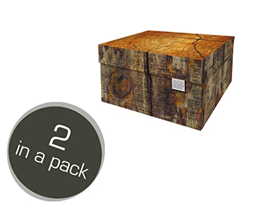 Dutch Design Brand Aufbewahrungsbox Small mit Deckel – 2 Aufbewahrungsboxen – FSC-zertifizierter, recycelbarer Karton (Größe: 27,8 x 20,6 x 14 cm) (Tree Trunk) von Dutch Design Brand