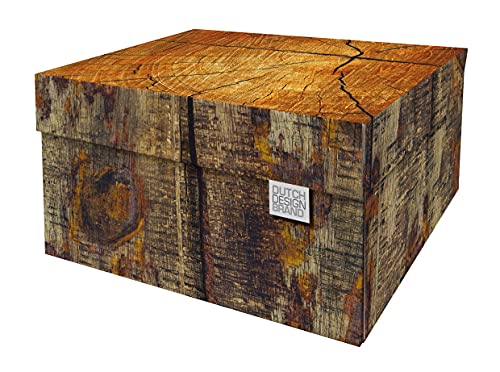 Dutch Design Brand Dekorative Aufbewahrungsboxen mit Deckel – Größe: 38,9 x 31,8 x 21,1 cm – FSC zertifizierter recycelbarer Karton (Druck: Baumstamm) von DDB