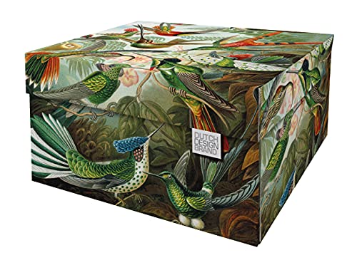 Dutch Design Brand Dekorative Aufbewahrungsboxen mit Deckel – Größe: 38,9 x 31,8 x 21,1 cm – FSC zertifizierter recycelbarer Karton (Druck: Kunst der Natur), Art Of Nature von DDB