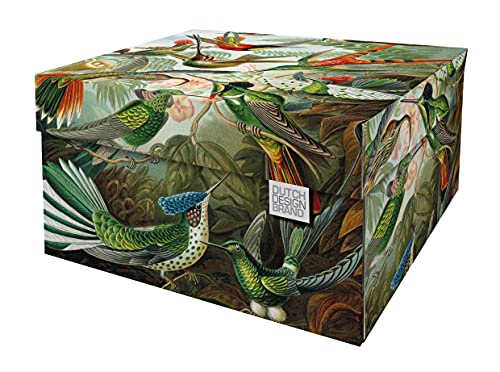 Dutch Design Brand Dekorative Aufbewahrungsboxen mit Deckel – Größe: 38,9 x 31,8 x 21,1 cm – FSC zertifizierter recycelbarer Karton (Druck: Kunst der Natur) von Dutch Design Brand