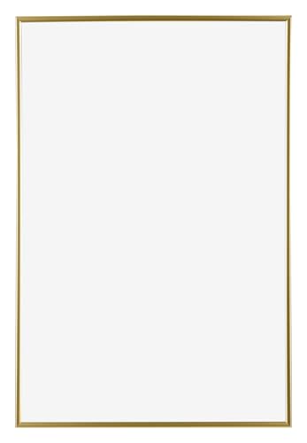 Dutch Frame Factory - Bilderrahmen 60x90 cm - Gold - Bilderrhamen aus Kunststoff mit Antireflex Kunstglas - Fotorahmen 60x90 cm - Easy Dutch Frame Factory - Bilderrahmen 60x90 cm - Gold - Bilderrhamen aus Kunststoff mit Antireflex Kunstglas - Fotorahmen 60x90 cm - Easy von Dutch Frame Factory