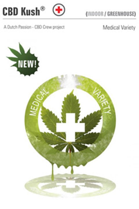 CBD Kush feminisiert 5 Stück von Dutch Passion