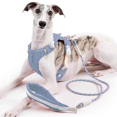 Duuclume Hundegeschirr und Leine, kein Ziehen, verstellbare Haustierweste, Geschirr mit reflektierenden Streifen, ausbruchsicher, für kleine, mittelgroße und große Hunde, Blau, XS von Duuclume