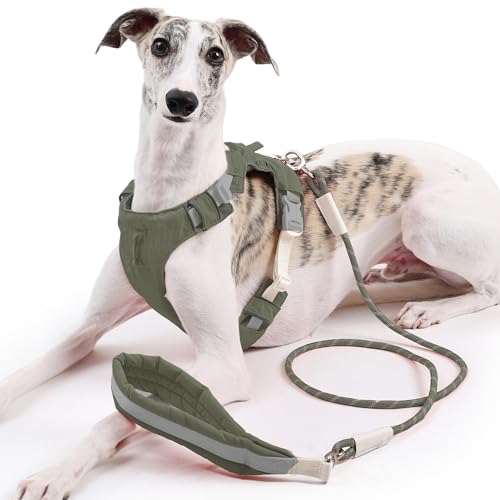 Duuclume Hundegeschirr und Leine, kein Ziehen, verstellbare Haustierweste, Geschirr mit reflektierenden Streifen, ausbruchsicher, für kleine, mittelgroße und große Hunde, Grün, Größe L von Duuclume