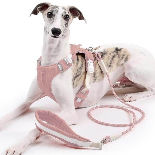 Duuclume Hundegeschirr und Leine, kein Ziehen, verstellbare Haustierweste, Geschirr mit reflektierenden Streifen, ausbruchsicher, für kleine, mittelgroße und große Hunde, Rosa, Größe L von Duuclume