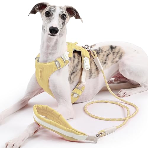 Duuclume Hundegeschirr und Leine, kein Ziehen, verstellbare Haustierweste, Geschirr mit reflektierenden Streifen, ausbruchsicher, für kleine, mittelgroße und große Hunde (Gelb, M) von Duuclume