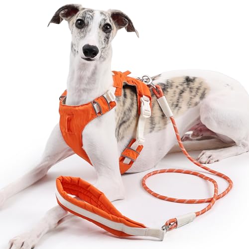 Duuclume Hundegeschirr und Leine, kein Ziehen, verstellbare Haustierweste, Geschirr mit reflektierenden Streifen, ausbruchsicher, für kleine, mittelgroße und große Hunde (Orange, XL) von Duuclume