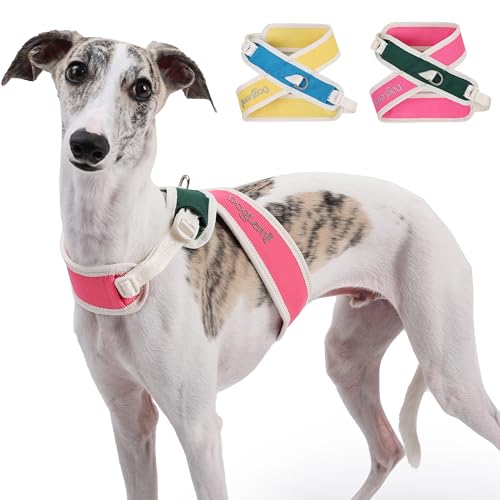 Duuclume X-Rücken Hundegeschirr, kein Ziehen, verstellbar, ausbruchsicher, mit Clip an der Rückseite, bequem und schnelle Passform, für kleine, mittelgroße und große Hunde (Rosarot, XS) von Duuclume