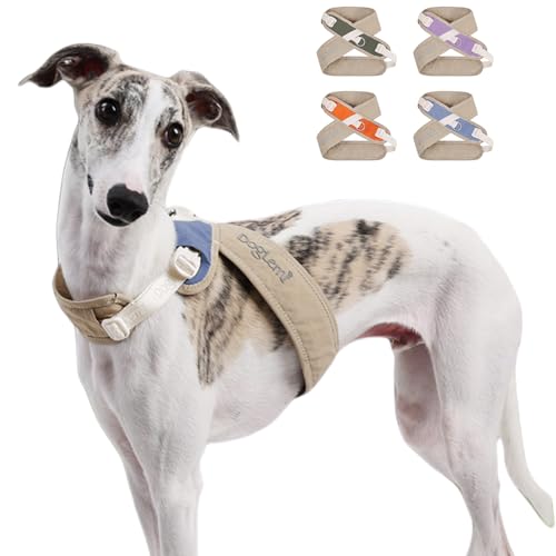 Duuclume X-Rücken Hundegeschirr, kein Ziehen, verstellbar, ausbruchsicher, mit Clip an der Rückseite für kleine, mittelgroße und große Hunde, Beige Blau, XS Duuclume X-Rücken Hundegeschirr, kein Ziehen, verstellbar, ausbruchsicher, mit Clip an der Rückseite für kleine, mittelgroße und große Hunde, Beige Blau, XS von Duuclume